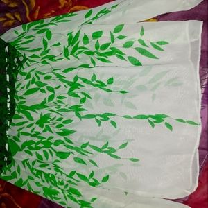 Beautiful shirt never worn